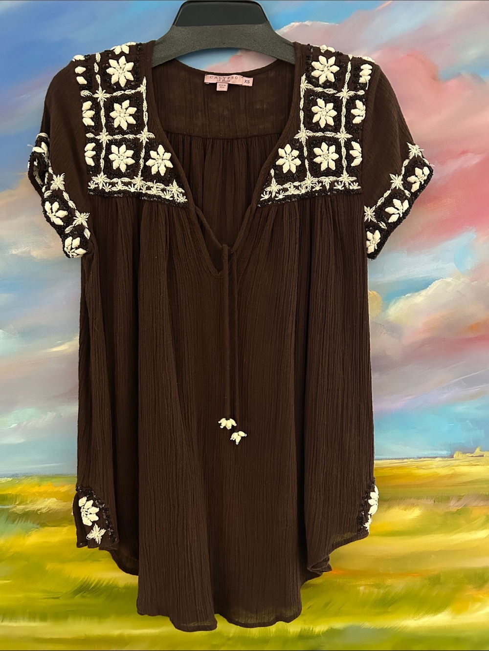Calypso St. Barth Brown Embroidered V-Neck Tunic